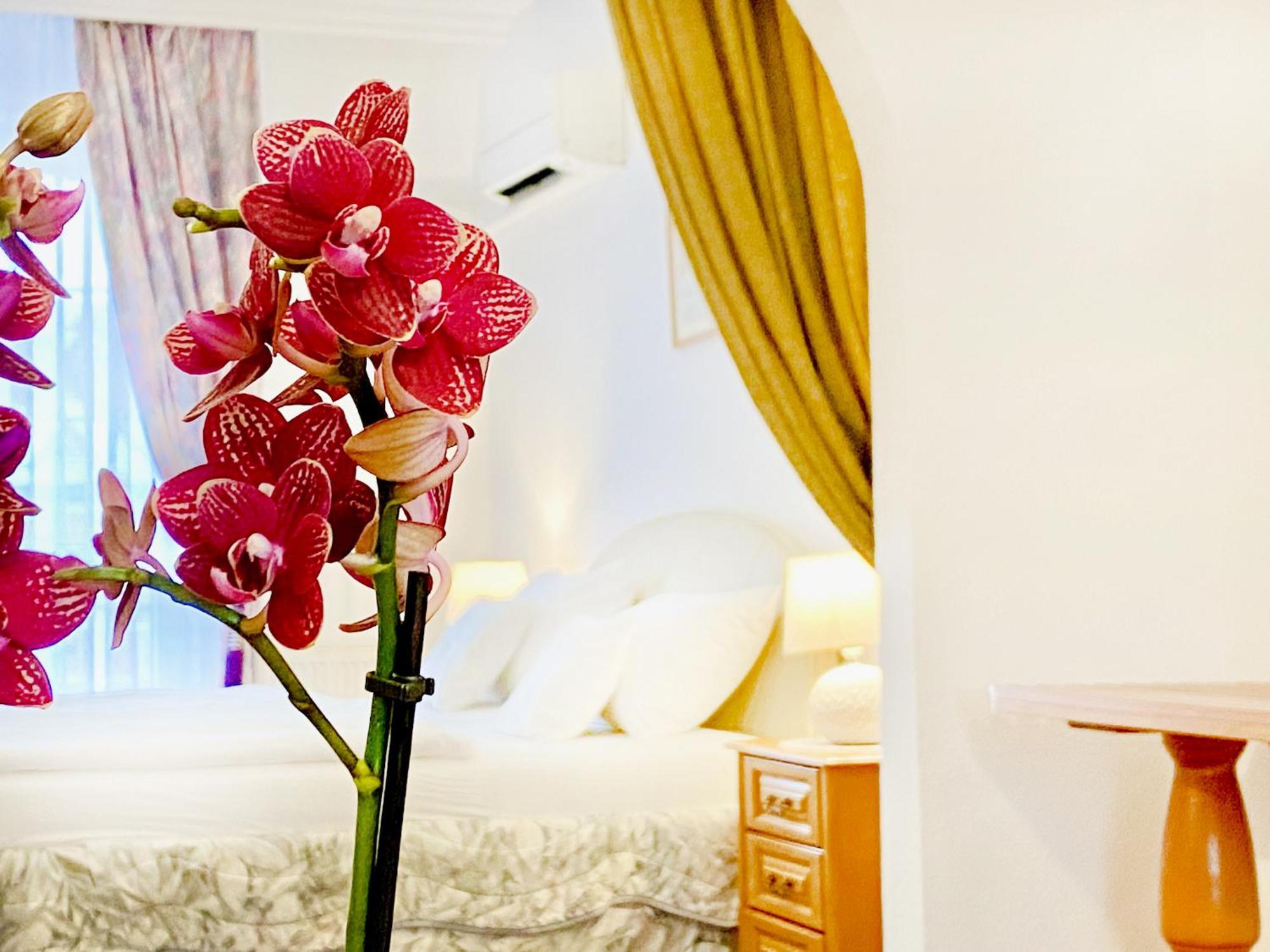 Hotel Wesselényi Győr Buitenkant foto